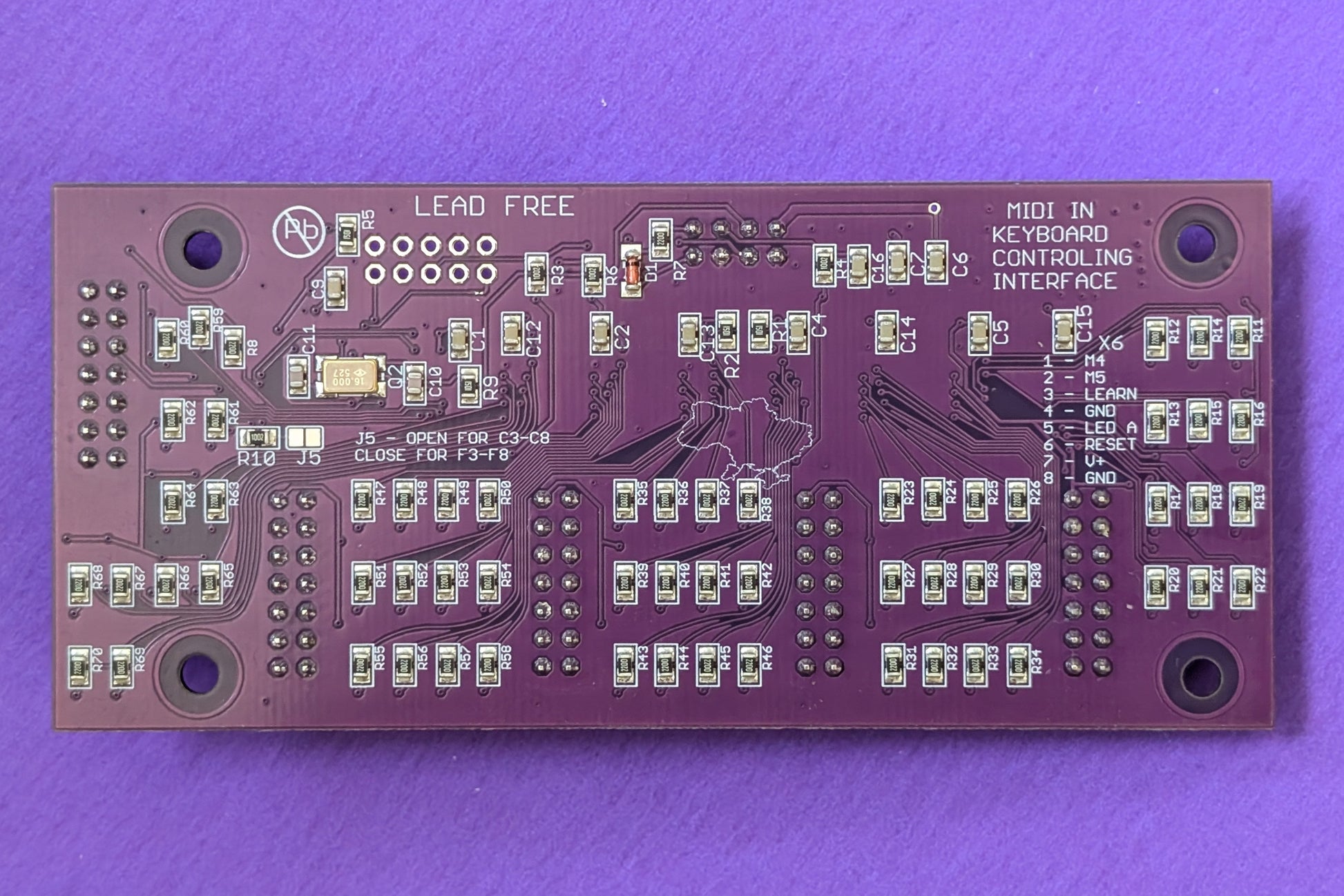 Vitalka custom A03.2 back