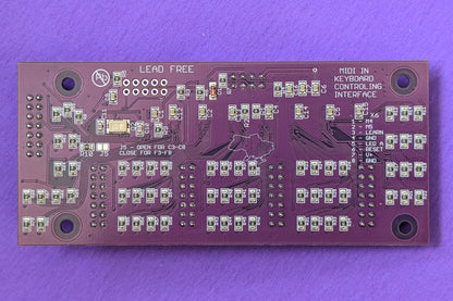 Vitalka custom A03.2 back