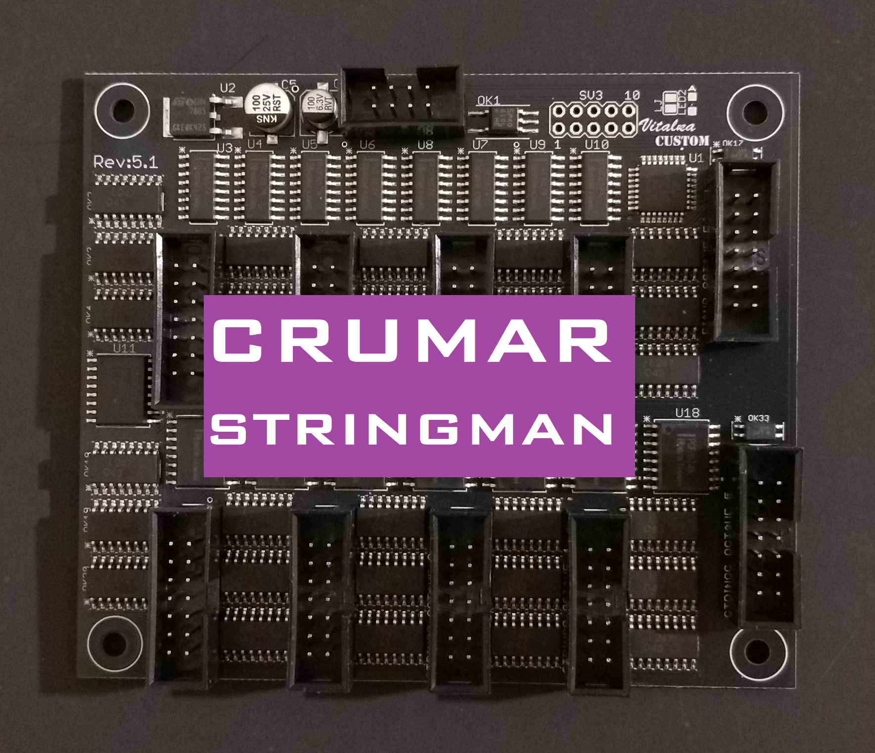 Stringman Instrument Crumar Stringman MIDI kit retrofit Vitalka Custom