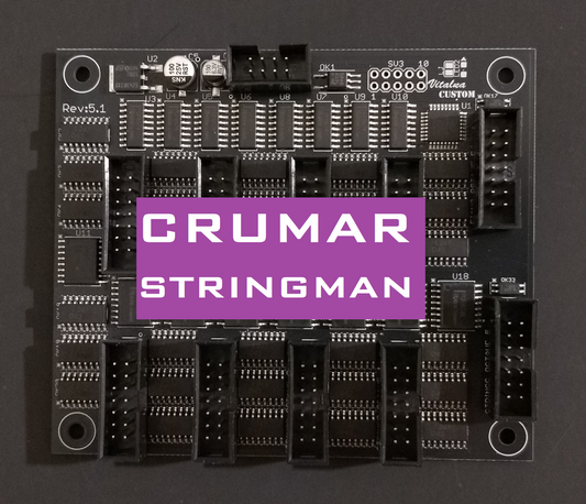 Crumar Stringman MIDI kit retrofit Vitalka Custom